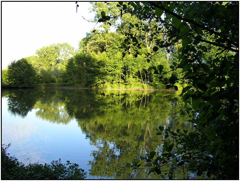 Rybnik Kelč 2009 